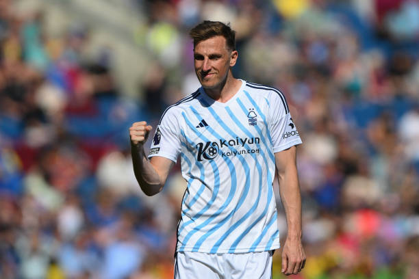 分战胜了新 分战胜了新